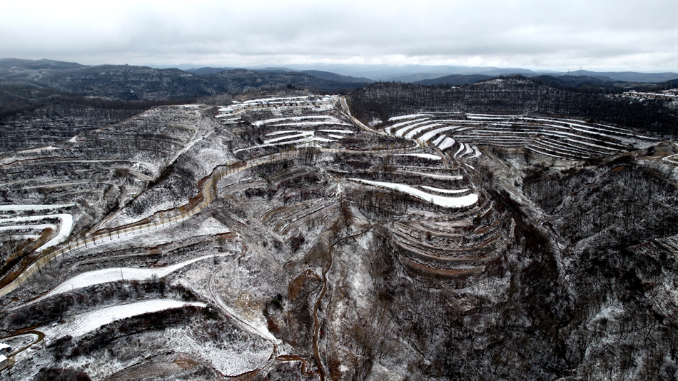 微信图片_20241118153039