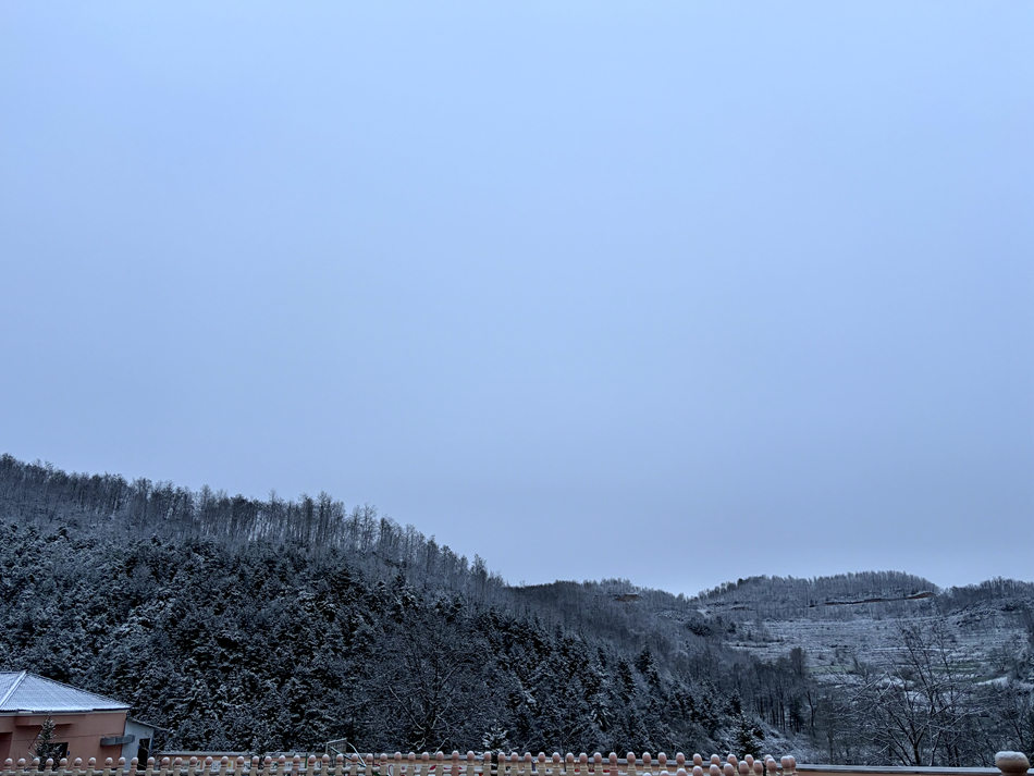 微信图片_20241118153026