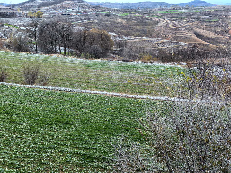 微信图片_20241118153018