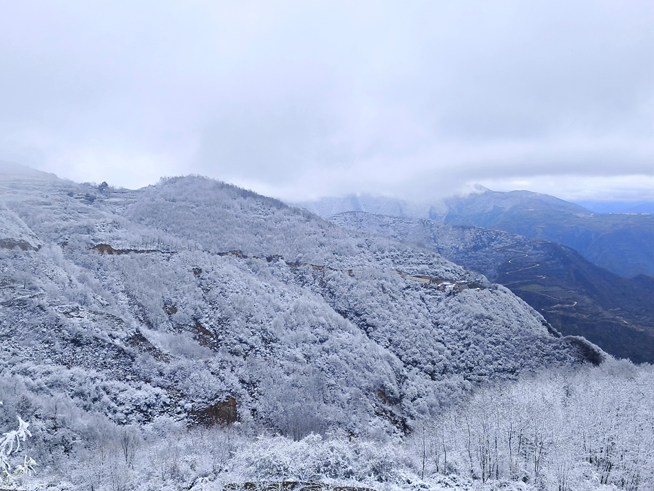 微信图片_20241118155317