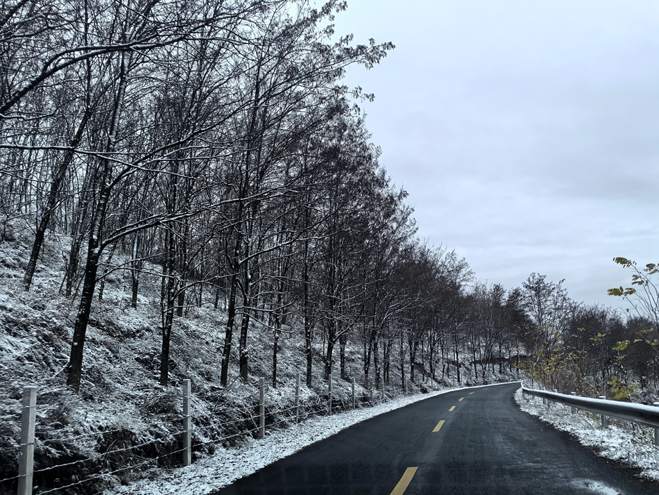 微信图片_20241118153012