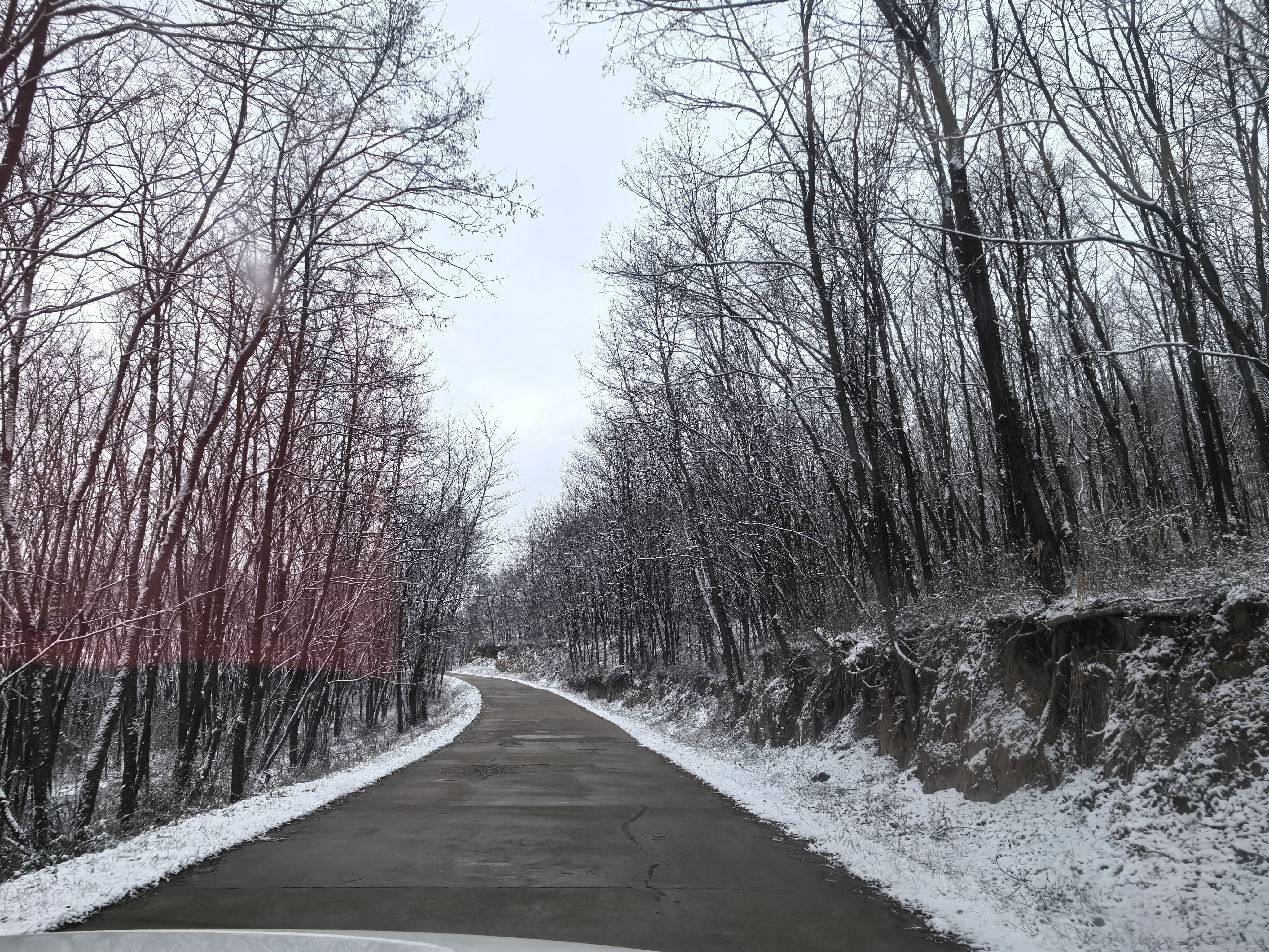 微信图片_20241118153050