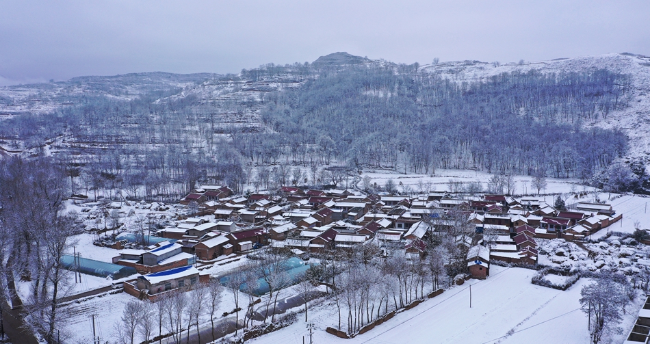 1731917257513008282.jpg 8ef010b79e0a8917caa6084fa2df064.jpg