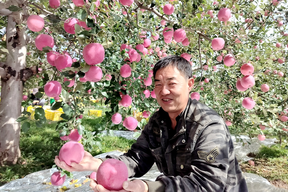 微信图片_20241118180852_副本