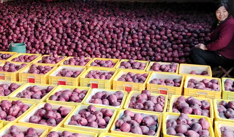 微信图片_20241118181018_副本