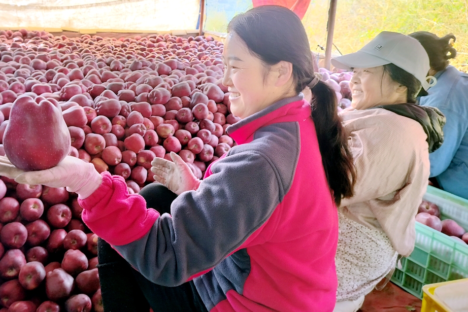 微信图片_20241118180831_副本