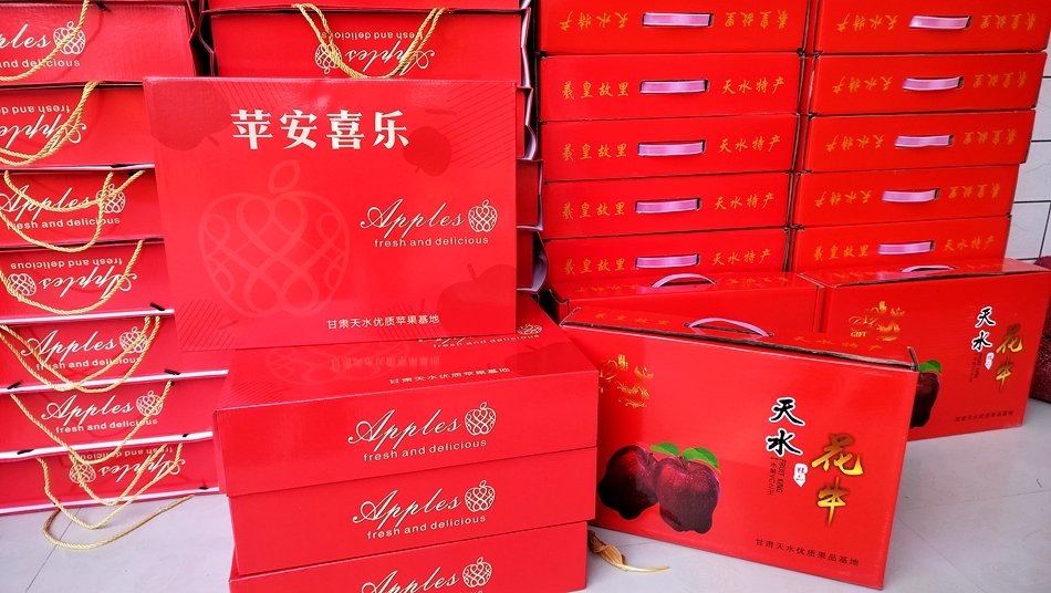 微信图片_20241118180751_副本