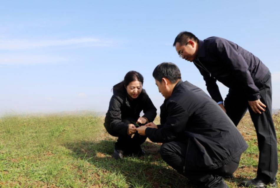 微信图片_20241120195606