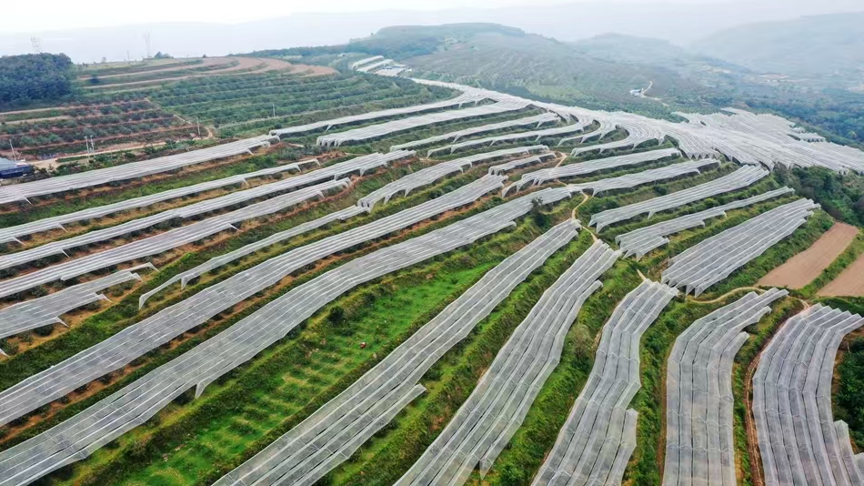 微信图片_20241204105650