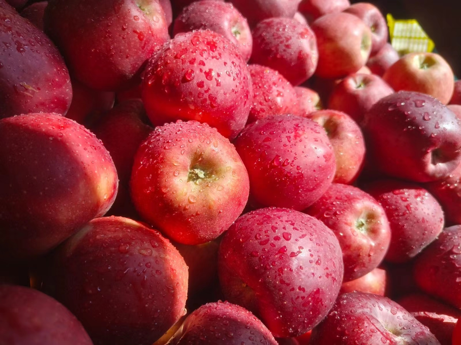 微信图片_20241204105639