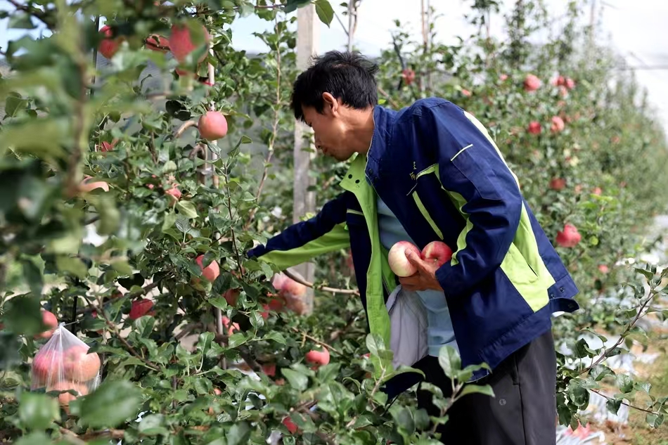 微信图片_20241204105636