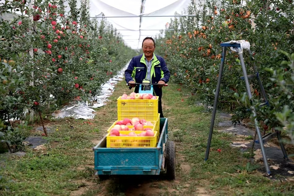 微信图片_20241204105647