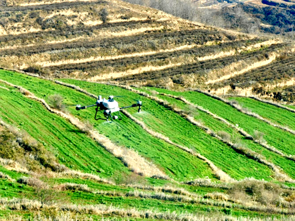 7232836a23054fb7a3d25ef139889886