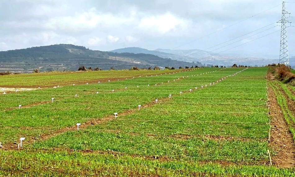 7232836a23054fb7a3d25ef139889886