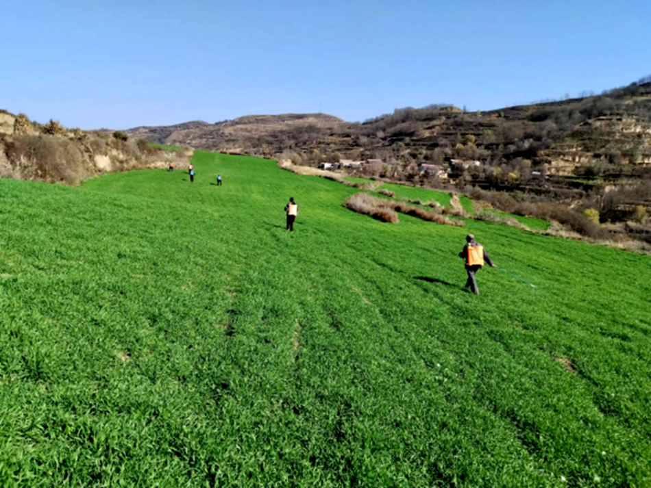 dc064badf71e41098d2f1f6e18d7c7e6