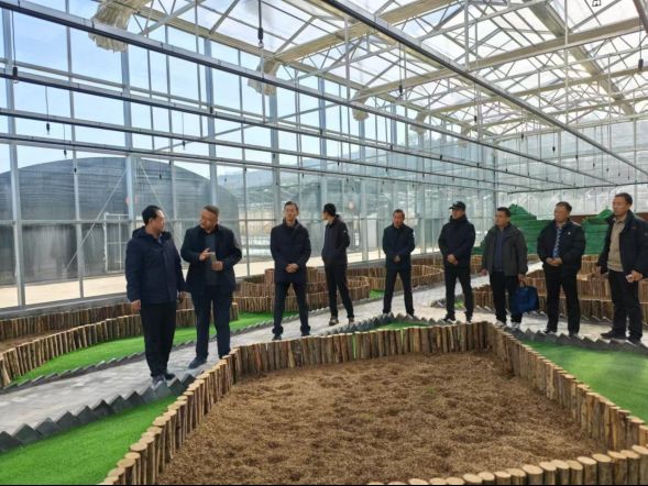 1733791932299080638.png image.png