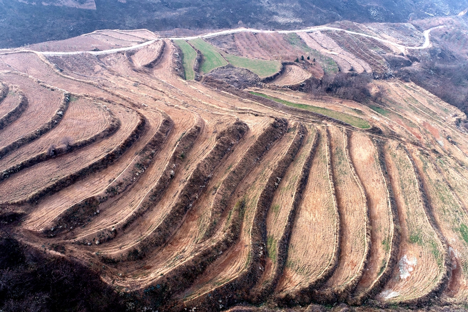 8661bff46ab7618d3d1fc05fcf8d39f_副本