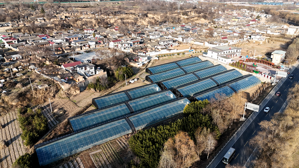 红堡镇安坪村果蔬生产基地整齐排列的设施大棚