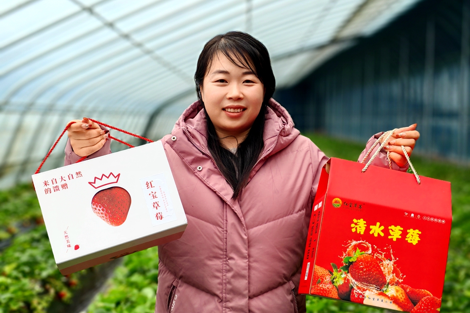 微信图片_20240208103631