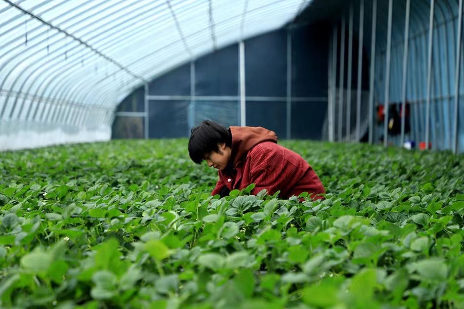 1735035436617081173.jpg 0459145dd341282a5e7d7ae7fc427dd.jpg