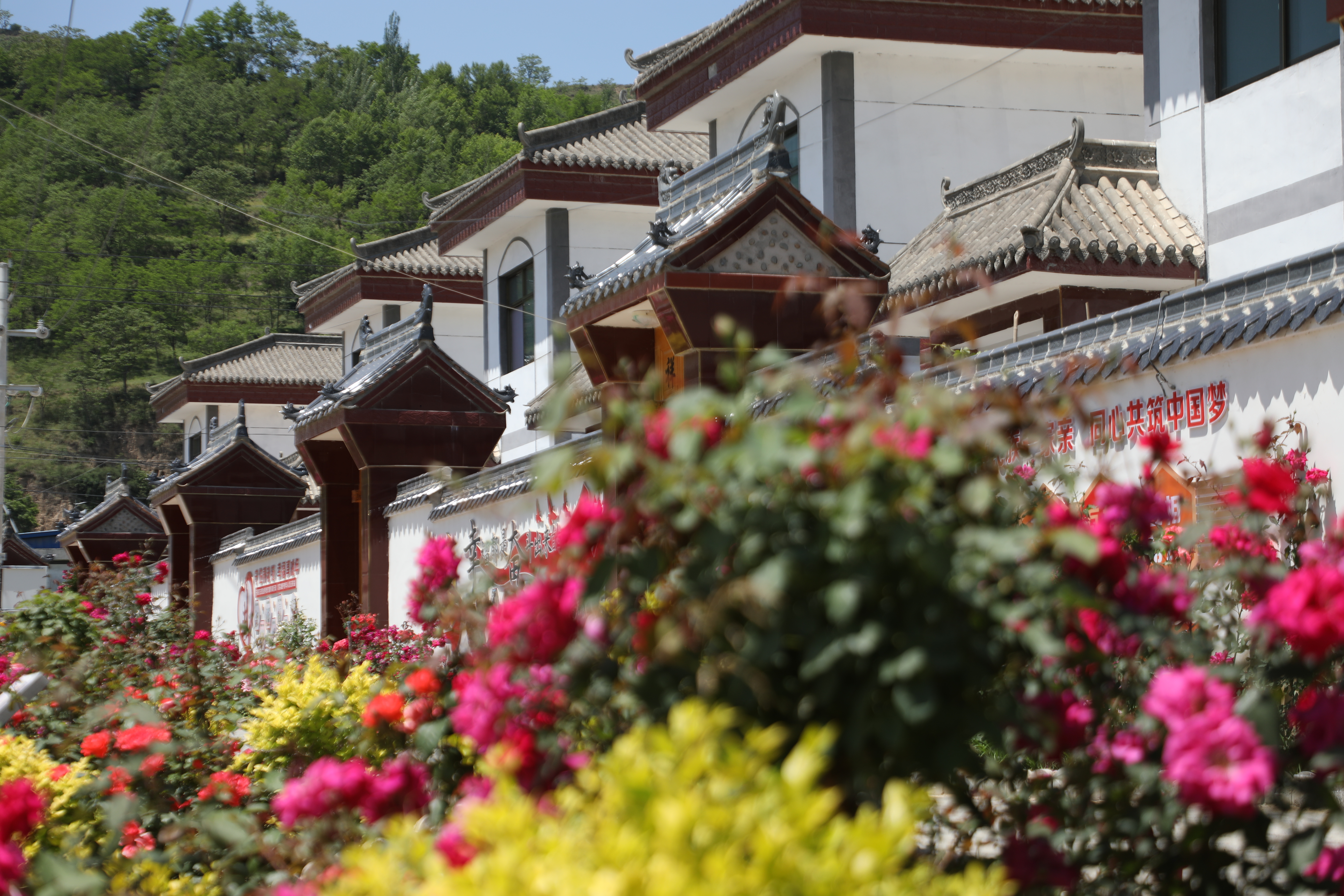 1735035449272070240.jpg 47317292804000716f186ebd733fbb5.jpg