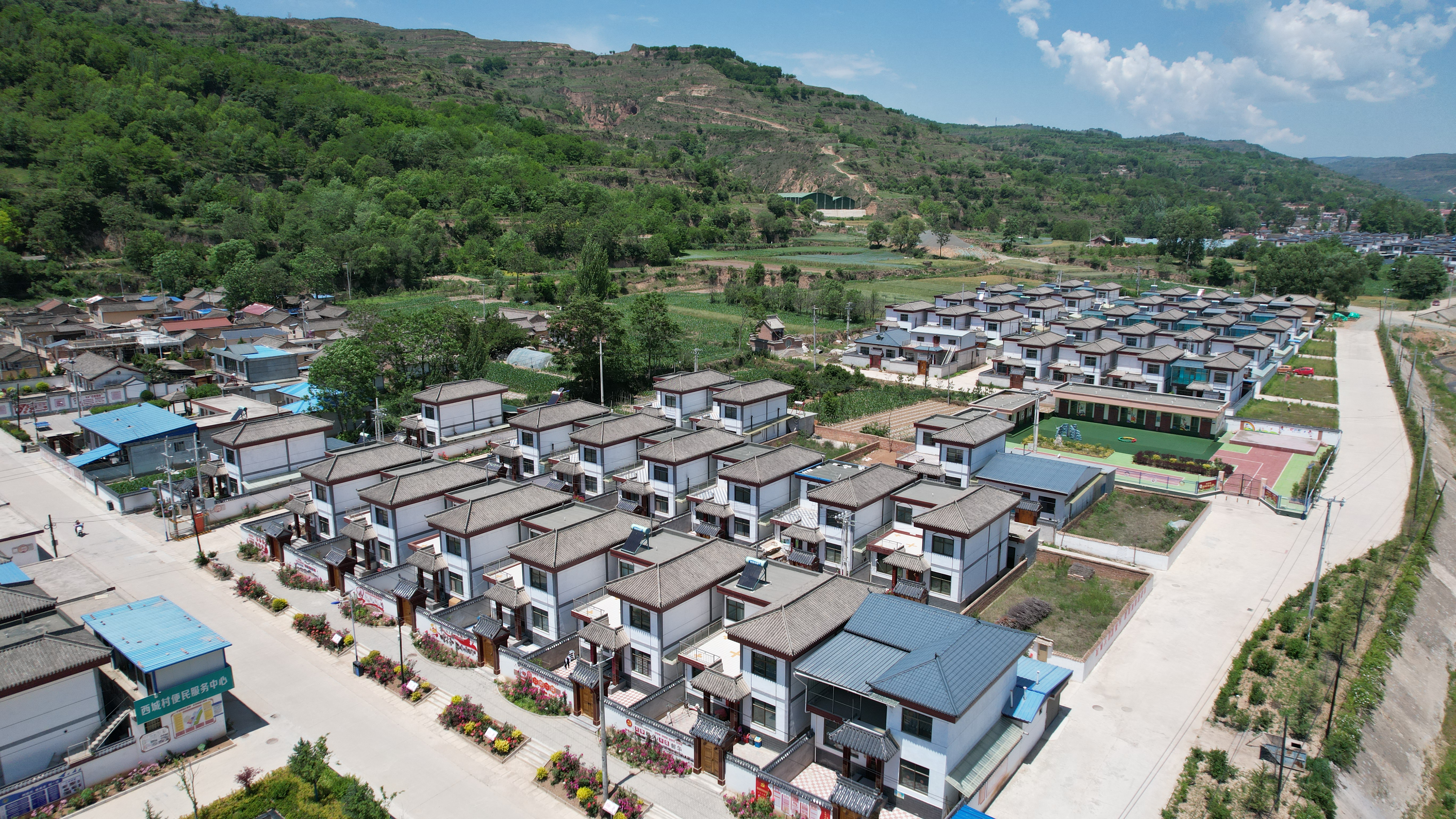 1735035494278044435.jpg 6105145a515a285fc5493755c1cfbf4.jpg