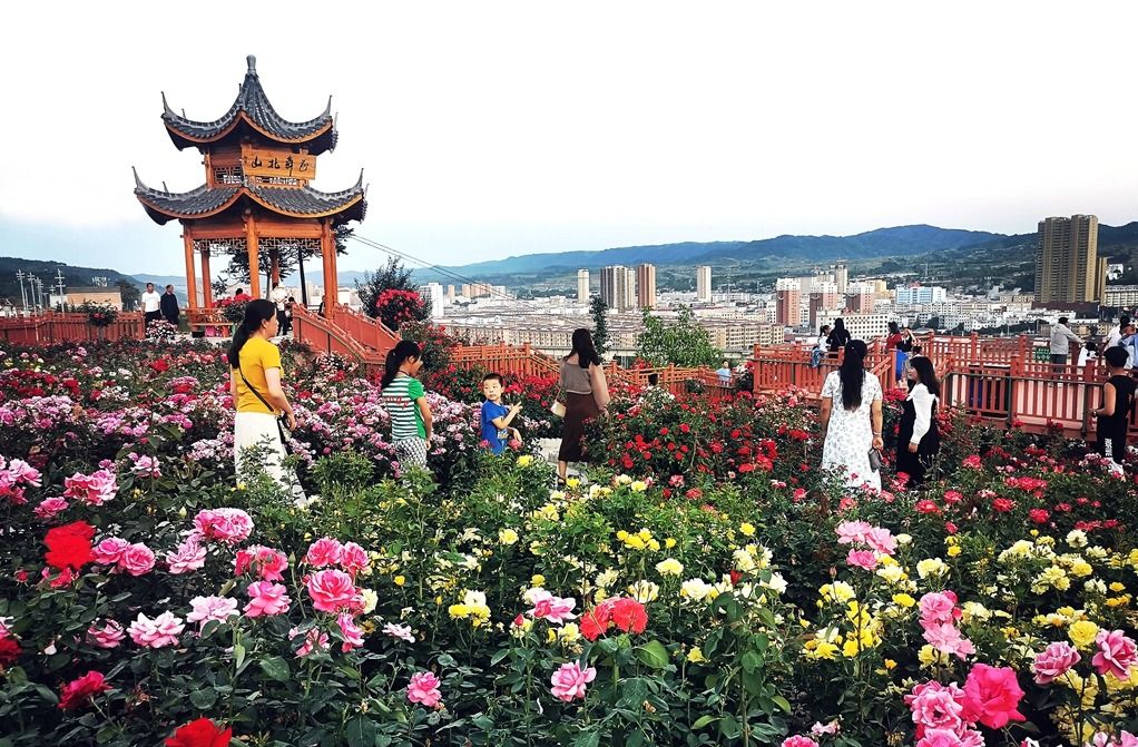 微信图片_20230627150608_副本