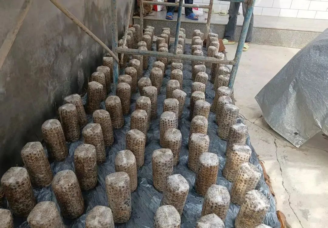 1748420212507050819.jpg 1748420212507050819.jpg