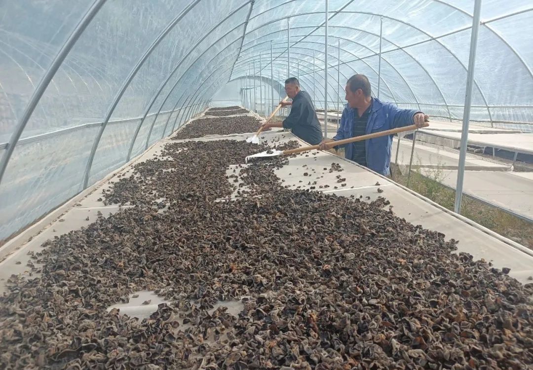 1748420210901011340.jpg 1748420210901011340.jpg