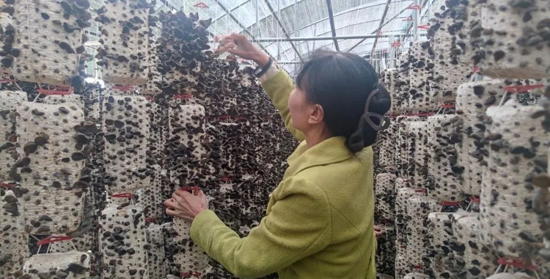 1748420210111099294.jpg 1748420210111099294.jpg