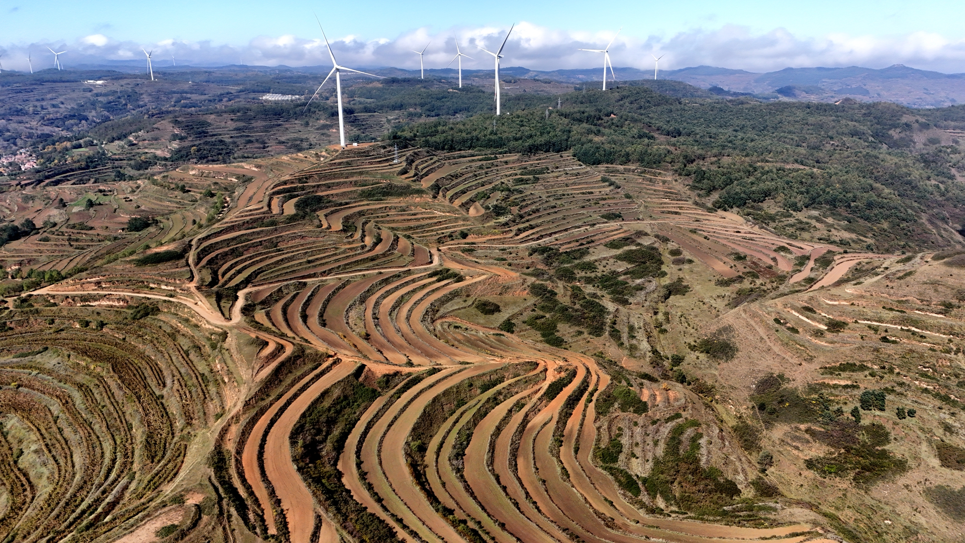 DJI_20251015111852_0328_D(1)_副本