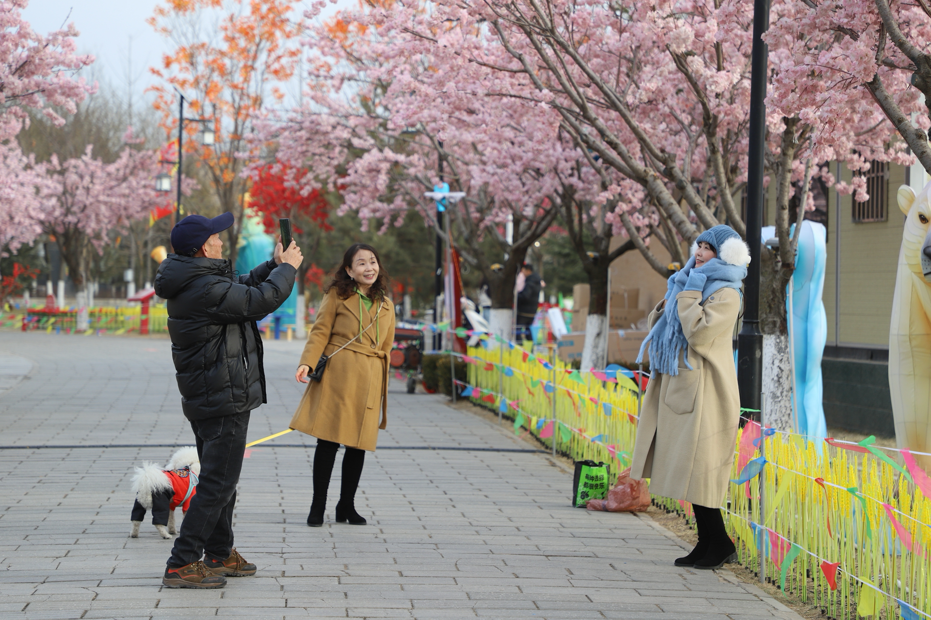 5023d2eea8374884502ee124360626d3