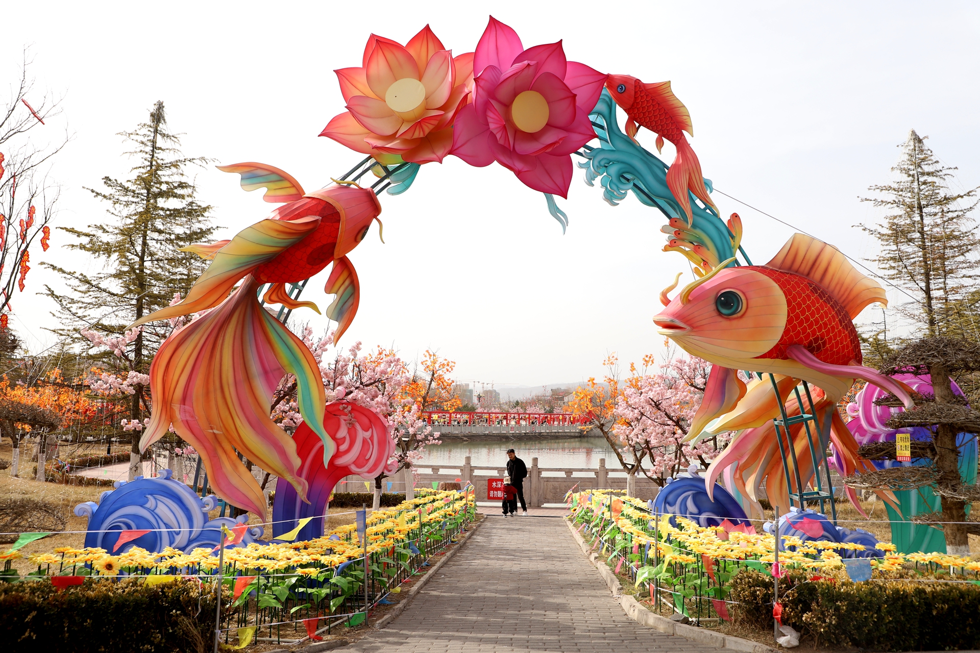 IMG_7425_副本_副本