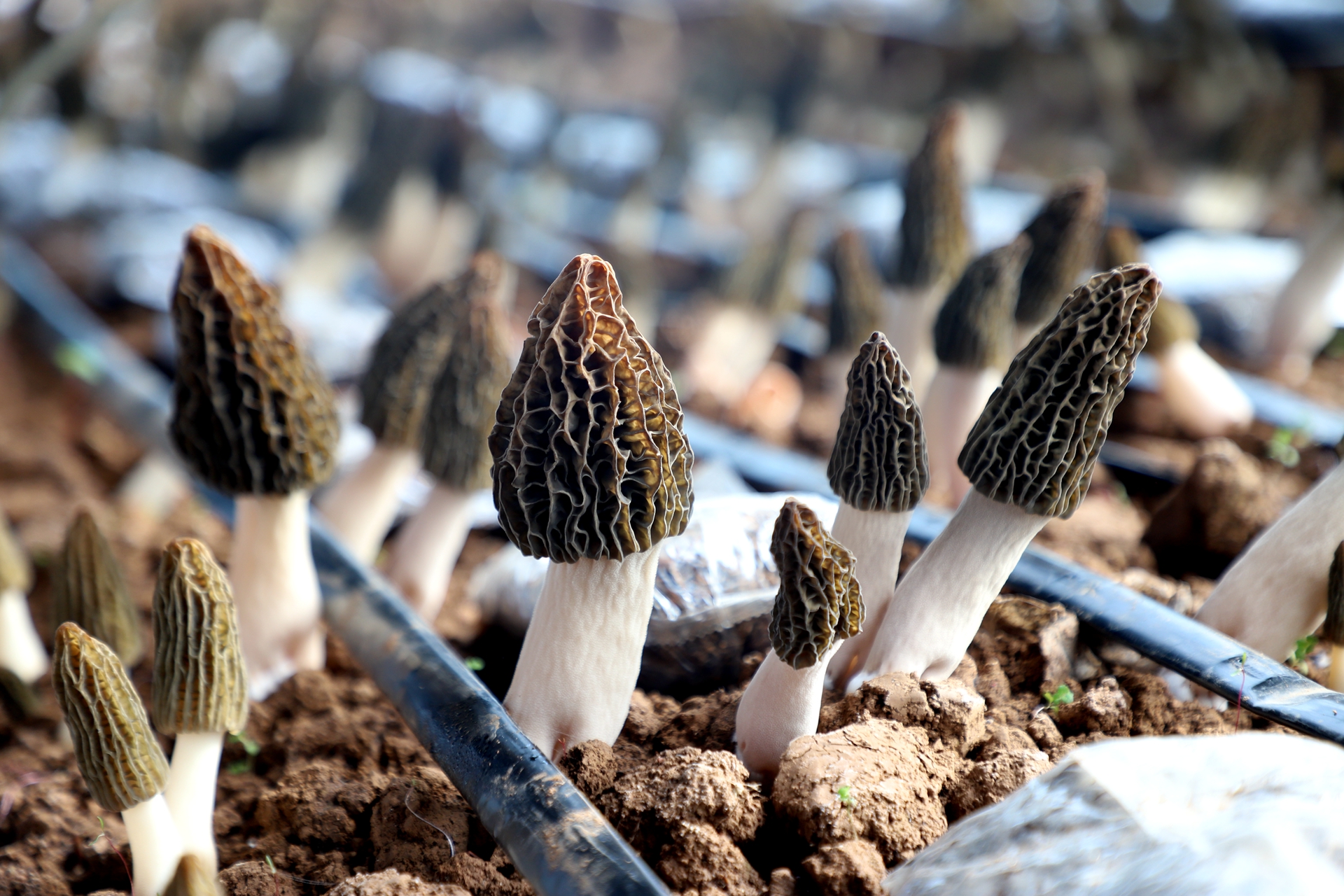 微信图片_20260330154615_794_12_副本